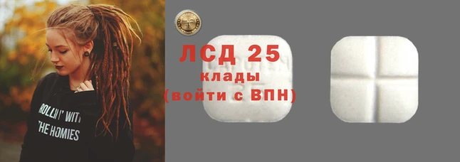 spice Липки
