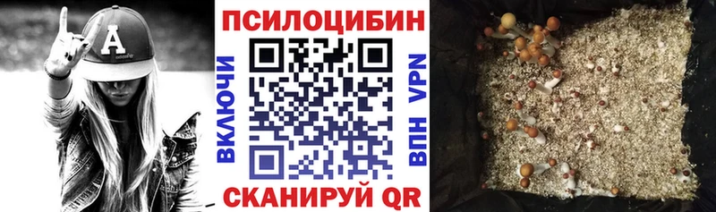 Купить закладки  Лакинск  Галлюциногенные грибы Psilocybine cubensis 